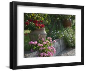 Garden Detail, San Domenico Palace Hotel, Taormina, Sicily, Italy-Walter Bibikow-Framed Photographic Print