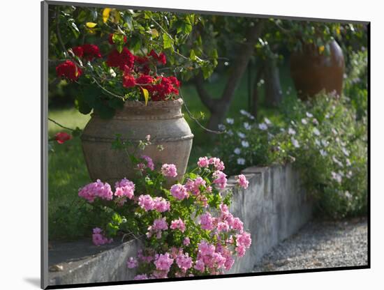 Garden Detail, San Domenico Palace Hotel, Taormina, Sicily, Italy-Walter Bibikow-Mounted Photographic Print