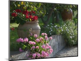 Garden Detail, San Domenico Palace Hotel, Taormina, Sicily, Italy-Walter Bibikow-Mounted Photographic Print