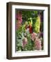 Garden Detail, San Domenico Palace Hotel, Taormina, Sicily, Italy-Walter Bibikow-Framed Photographic Print