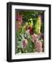 Garden Detail, San Domenico Palace Hotel, Taormina, Sicily, Italy-Walter Bibikow-Framed Photographic Print