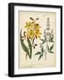 Garden Display I-Sydenham Edwards-Framed Art Print