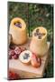 Garden, DIY, self-made bird feeder, pumpkins, apples, box, detail,-mauritius images-Mounted Photographic Print