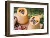 Garden, DIY, self-made bird feeder, pumpkins, apples, box, detail,-mauritius images-Framed Photographic Print