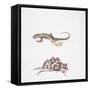 Garden Dormouse (Eliomys Quercinus) and Lizard-null-Framed Stretched Canvas