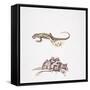 Garden Dormouse (Eliomys Quercinus) and Lizard-null-Framed Stretched Canvas