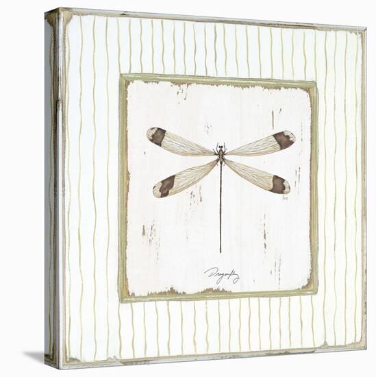 Garden Dragonfly-Jan Cooley-Stretched Canvas