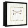 Garden Dragonfly-Jan Cooley-Framed Stretched Canvas