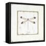 Garden Dragonfly-Jan Cooley-Framed Stretched Canvas