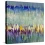 Garden Dream-Lanie Loreth-Stretched Canvas