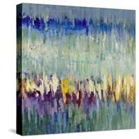 Garden Dream-Lanie Loreth-Stretched Canvas