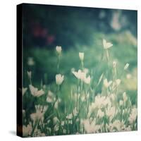 Garden Dreams 3-Linda Hoey-Stretched Canvas