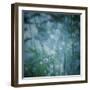 Garden Dreams 5-Linda Hoey-Framed Art Print