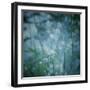 Garden Dreams 5-Linda Hoey-Framed Art Print