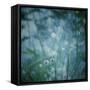 Garden Dreams 5-Linda Hoey-Framed Stretched Canvas