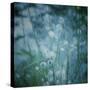 Garden Dreams 5-Linda Hoey-Stretched Canvas