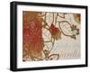 Garden Dreams-Kevin O'Brien-Framed Art Print