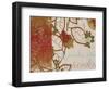 Garden Dreams-Kevin O'Brien-Framed Art Print