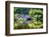 Garden Elysium-George Oze-Framed Photographic Print