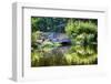 Garden Elysium-George Oze-Framed Photographic Print