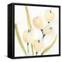 Garden Essence V-June Erica Vess-Framed Stretched Canvas