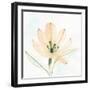 Garden Essence VI-June Erica Vess-Framed Art Print