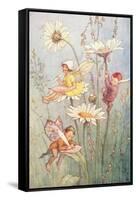 Garden Fairies-null-Framed Stretched Canvas