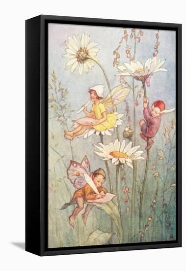 Garden Fairies-null-Framed Stretched Canvas