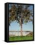 Garden, Fence, Apple Tree-Thonig-Framed Stretched Canvas