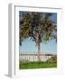 Garden, Fence, Apple Tree-Thonig-Framed Photographic Print