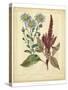 Garden Flora I-Sydenham Edwards-Stretched Canvas