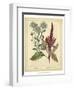 Garden Flora I-Sydenham Edwards-Framed Art Print