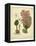 Garden Flora III-Sydenham Edwards-Framed Stretched Canvas