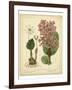 Garden Flora III-Sydenham Edwards-Framed Art Print