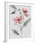 Garden Florals II-Sandra Jacobs-Framed Giclee Print