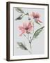 Garden Florals II-Sandra Jacobs-Framed Giclee Print