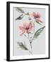 Garden Florals II-Sandra Jacobs-Framed Giclee Print