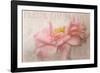 Garden Flower-Cora Niele-Framed Photographic Print