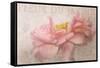 Garden Flower-Cora Niele-Framed Stretched Canvas