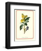 Garden Flowers III-null-Framed Art Print