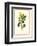 Garden Flowers III-null-Framed Art Print