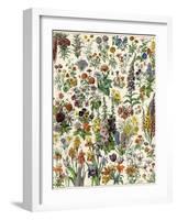 Garden Flowers, Lily, Daffodil, Tulip, Dahlia, Zinnia, Pansy, Marigold-null-Framed Giclee Print