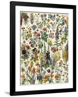 Garden Flowers, Lily, Daffodil, Tulip, Dahlia, Zinnia, Pansy, Marigold-null-Framed Giclee Print