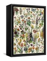 Garden Flowers, Lily, Daffodil, Tulip, Dahlia, Zinnia, Pansy, Marigold-null-Framed Stretched Canvas