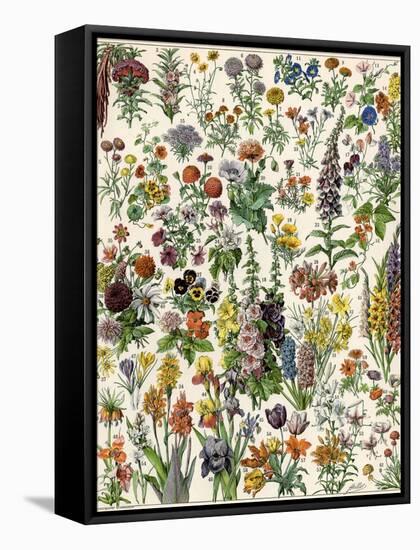 Garden Flowers, Lily, Daffodil, Tulip, Dahlia, Zinnia, Pansy, Marigold-null-Framed Stretched Canvas