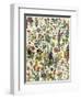 Garden Flowers, Lily, Daffodil, Tulip, Dahlia, Zinnia, Pansy, Marigold-null-Framed Premium Giclee Print