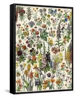 Garden Flowers, Lily, Daffodil, Tulip, Dahlia, Zinnia, Pansy, Marigold-null-Framed Stretched Canvas