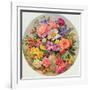 Garden Flowers of July-Albert Williams-Framed Giclee Print