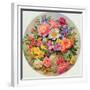 Garden Flowers of July-Albert Williams-Framed Giclee Print