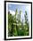 Garden Flowers-Tim Kahane-Framed Photographic Print